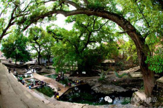 广西国庆柳州旅游攻略,柳州百里柳江哪里的风景最好