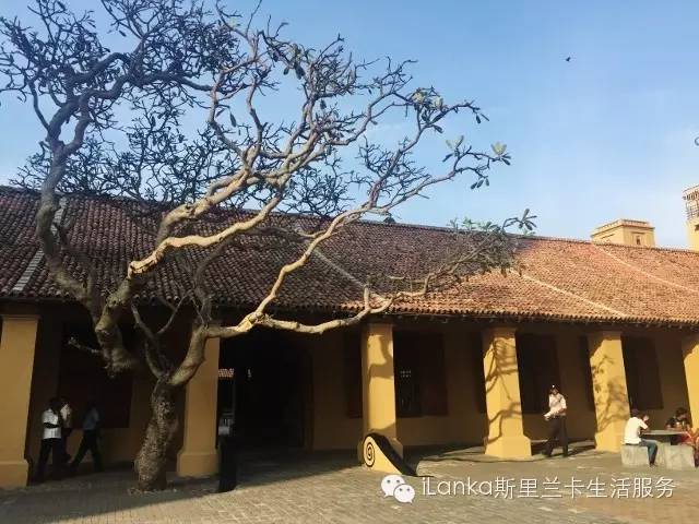 斯里兰卡路边购物,斯里兰卡购物中心