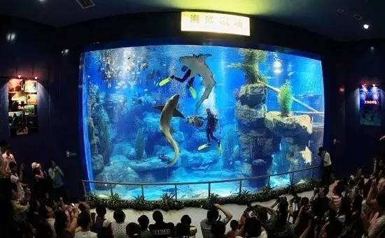 成都主题乐园推荐,成都新增的主题乐园