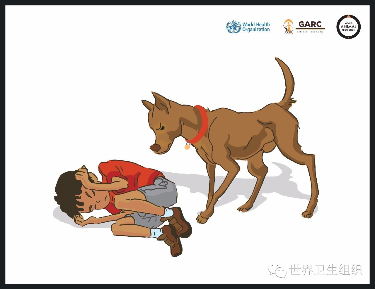 被狗咬预防方法,被狗咬了国际处理法