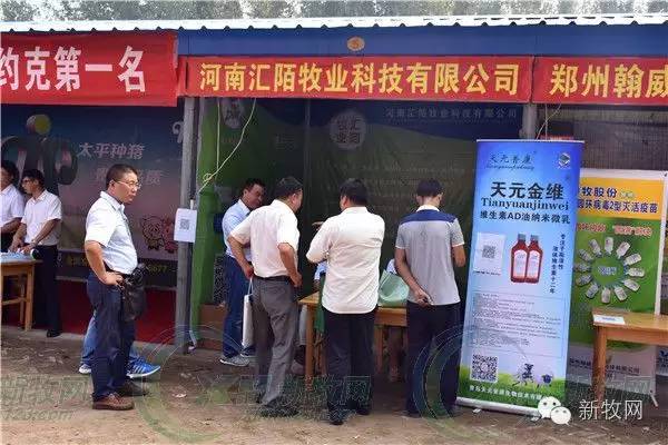 河南养猪业巨头,河南养猪身价百倍