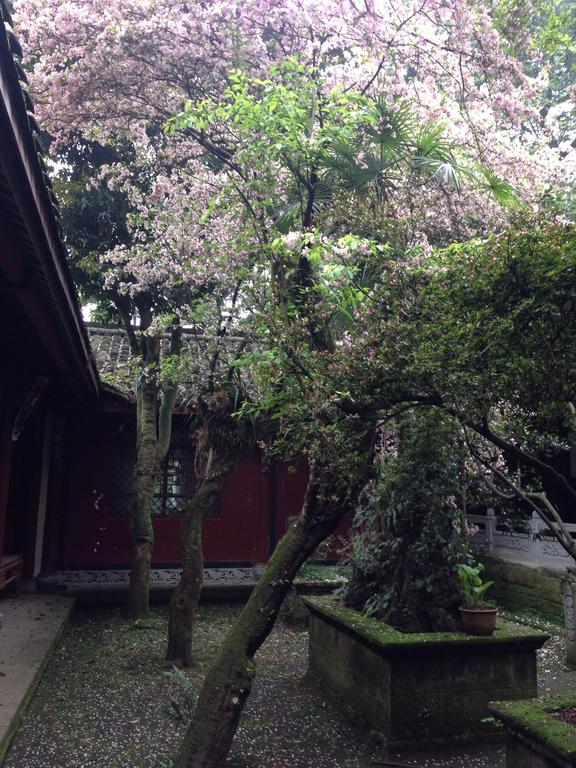 都江堰景区民宿住宿酒店推荐,都江堰最好的民宿酒店