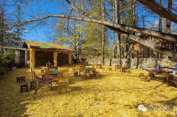 衡水你好，我叫云南，这是我的简历