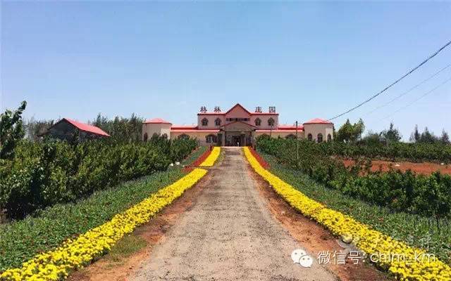 昆明大板桥农家乐的好去处,昆明农家乐烧烤游玩