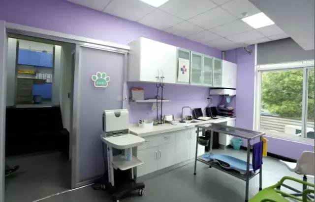 焦虫病死亡周期,焦虫病早期