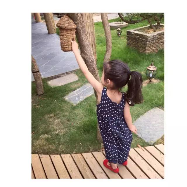 婺源十大最美民宿排名,一家漂亮的民宿