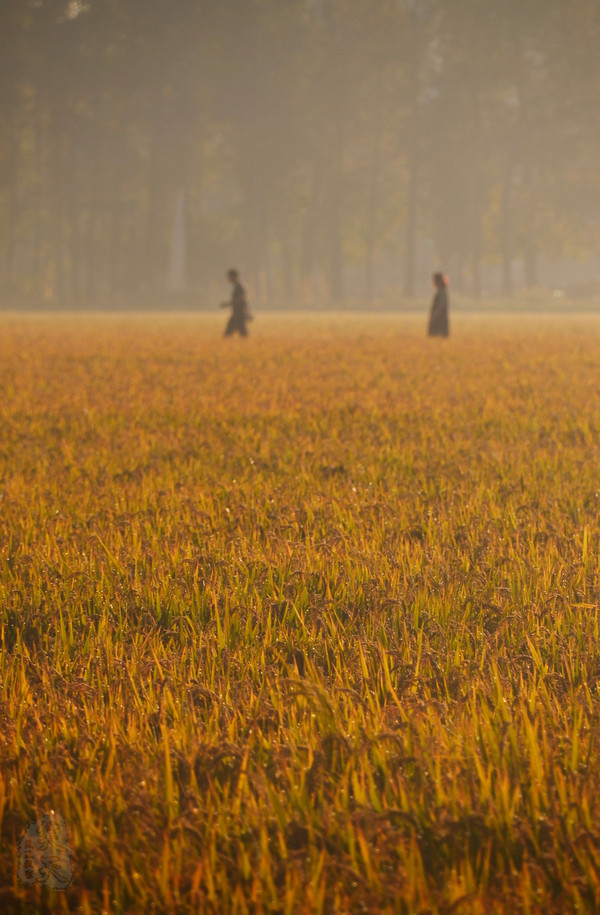 吉林市神农庄园视频,吉林神农庄园温泉度假村