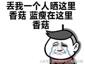 卖家发货查不到物流信息怎么回事,卖家发货后还能收到物流信息吗