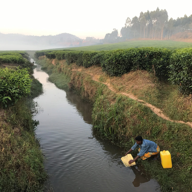 iphone7拍照怎么更好看,iphone7拍照评分