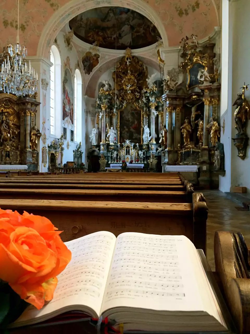 蓝瘦香菇在这里视频,蓝瘦香菇在法国