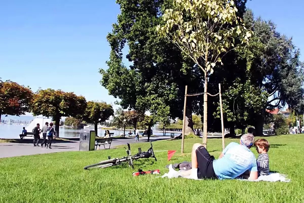 蓝瘦香菇在这里视频,蓝瘦香菇在法国