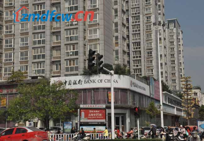 小丫探房合集,小丫看房记之蓝山四季全集