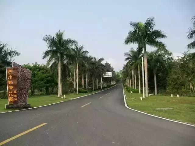 海南万宁国庆旅游攻略,万宁十大旅游必买品