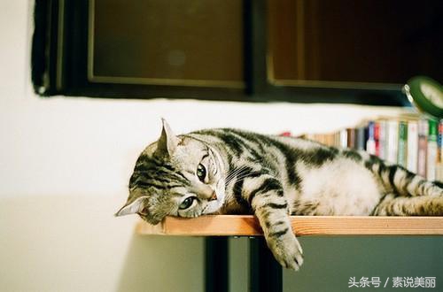 反复脸过敏发痒发红怎么治激素脸,脸用化妆品总过敏怎么治疗