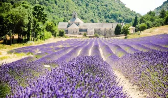 4000元穷游20座城市,4000元穷游