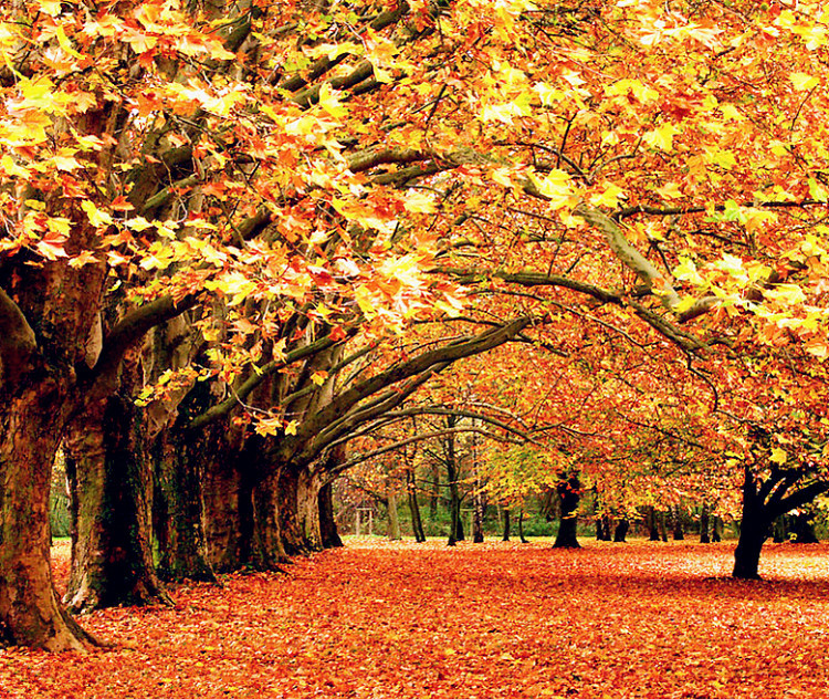 在青春里有些人注定是过客,当有些人从你的生命中消失