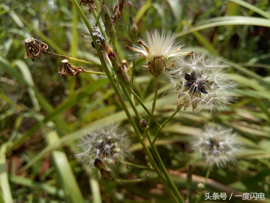 魅蓝手机u10,魅蓝u10白色