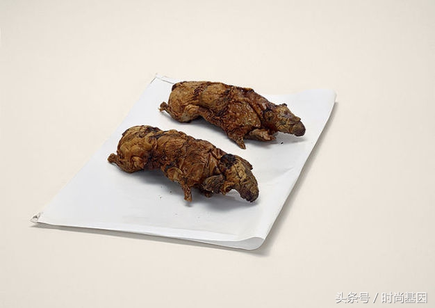 禁止食品进入的法律规定,禁止带入美国的中草药