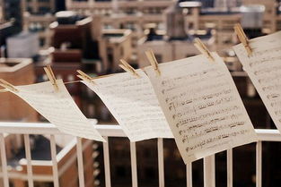 电影英雄背景音乐纯音乐,著名电影中的纯音乐