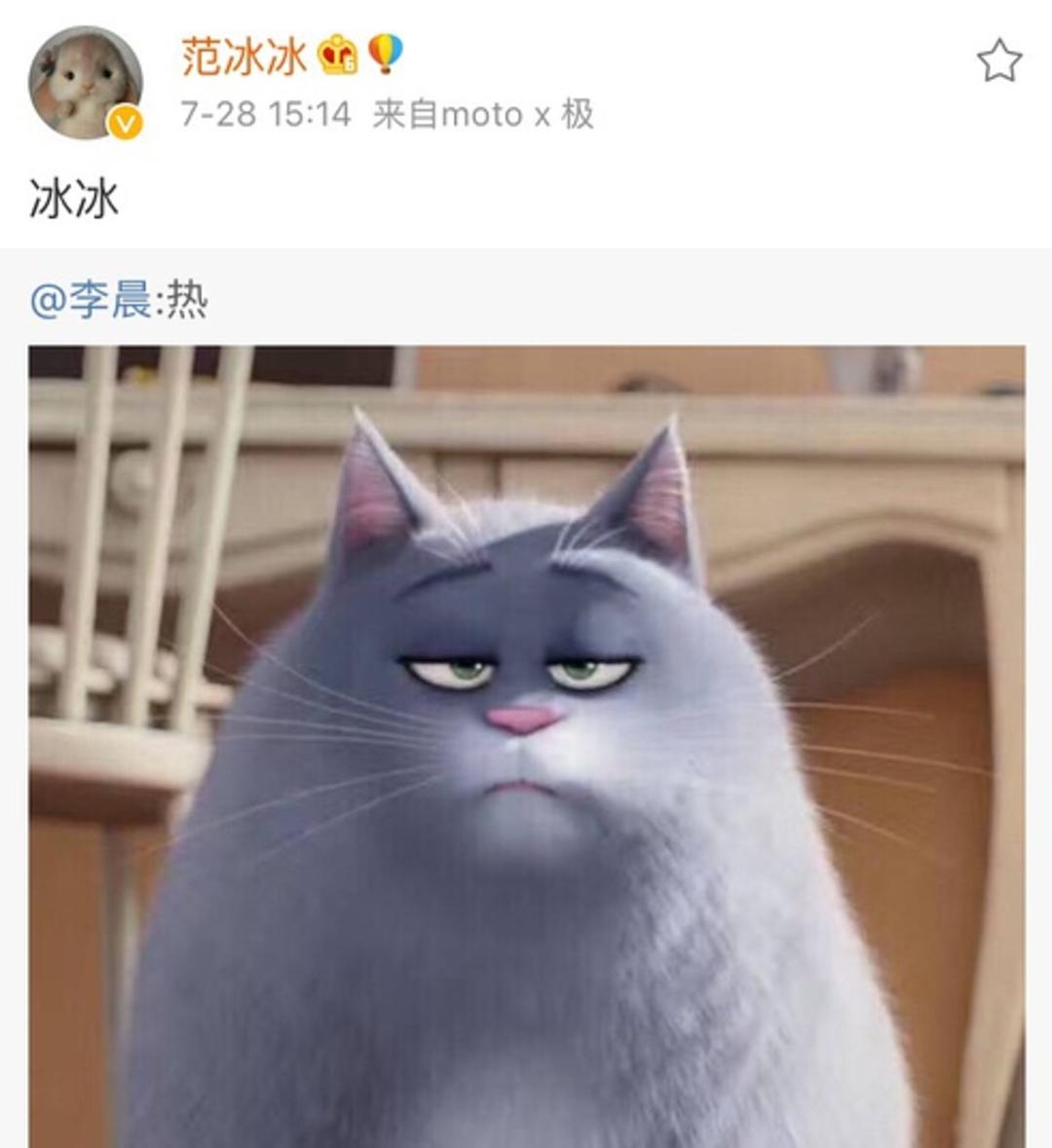 范冰冰很爱李晨吗,范冰冰到底爱李晨吗