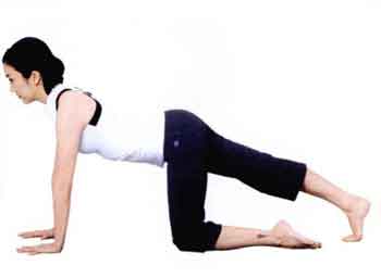 3个简单动作修饰腿部线条,帕梅拉10分钟腿部拉伸拉长腿部