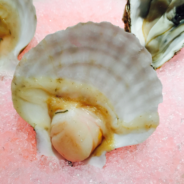 饕餮盛宴海鼎荟,厦门市海鼎荟自助餐