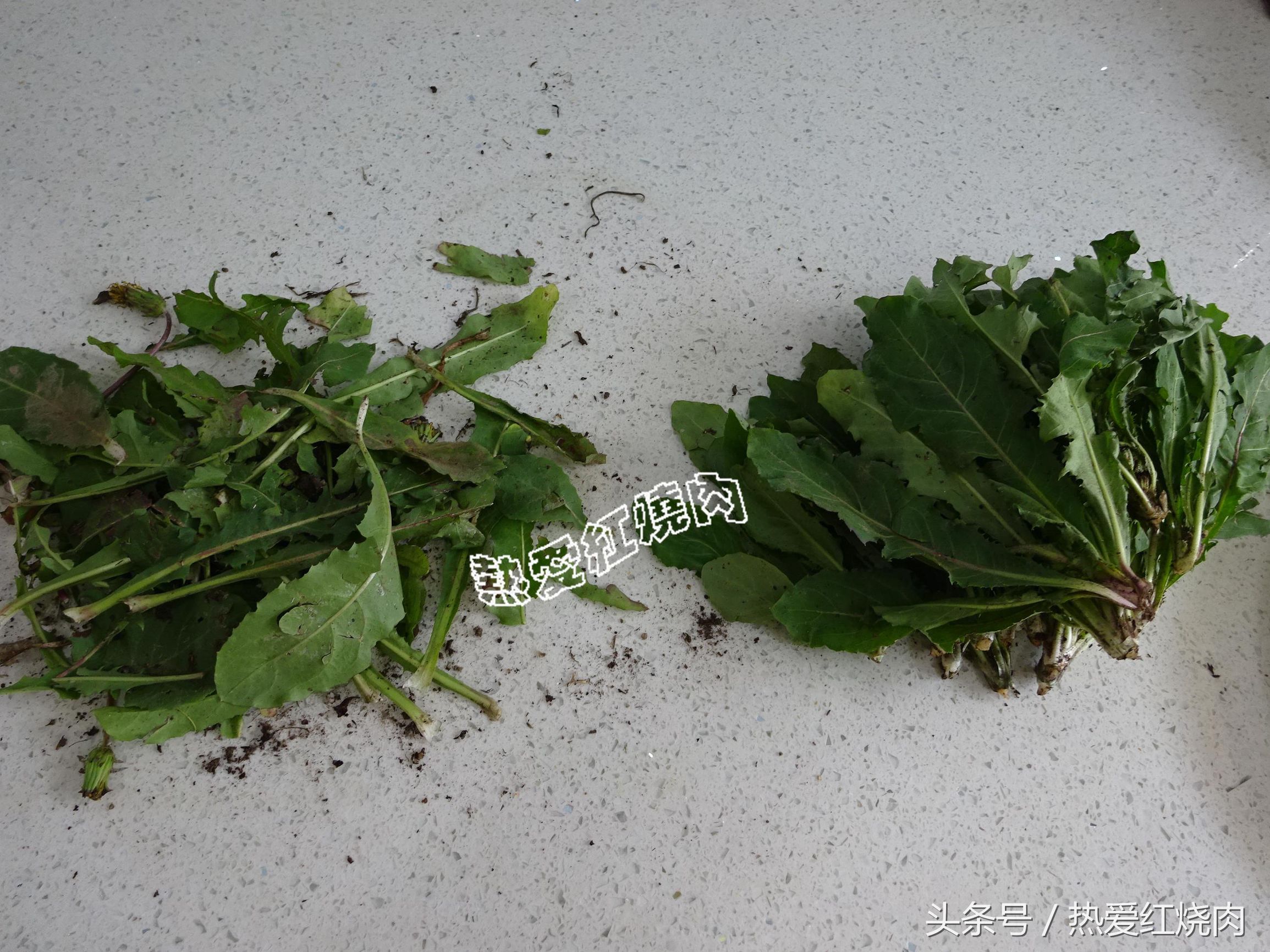 秋天吃这菜刮油又排毒,秋天吃什么野菜润燥降火