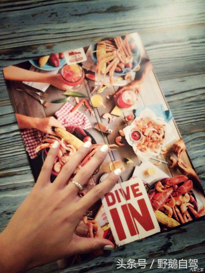 野鹅旅行,野鹅自驾无人区