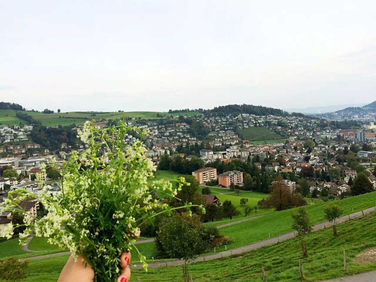 蓝瘦香菇在这里视频,蓝瘦香菇在法国