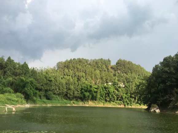 为什么野钓更舒服,为什么野钓要钓底