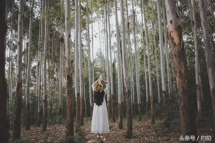 五一成都最适合拍照的地方,成都值得一去的拍照地