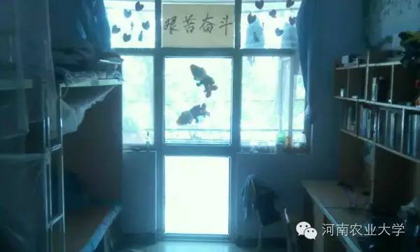 特别策划三分钟过后，农大小石榴马上开挂成老鸟！