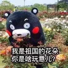 微商爆款化妆品护肤品,微信微商护肤的套路