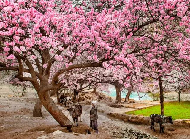 看头条后天就能从克拉玛依坐火车到喀什啦！