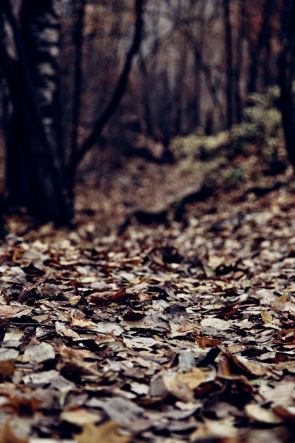 怀柔喇叭沟门南猴顶景区,怀柔喇叭沟门高档民宿