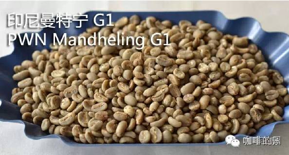 曼特宁和摩卡咖啡区别,鲜咖啡和曼特宁区别