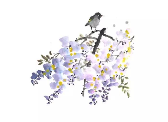 写在竹简上的诗经,诗经中的绝美句子纸质书