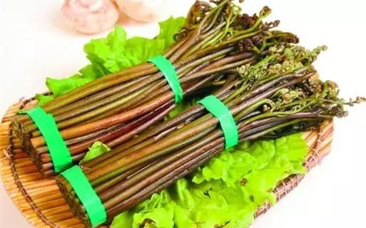 这十二种野菜有毒千万不要吃,这七种野菜有毒不能吃