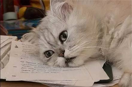 新闻传播学研究,中美媒体报道中的差异