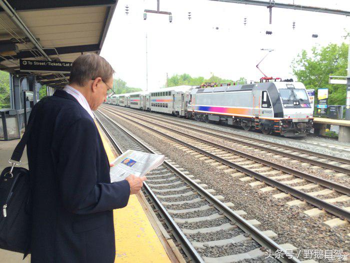 野鹅旅行,野鹅自驾无人区