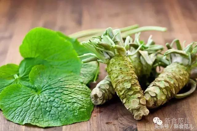 我敢说你在寿司店吃的那缸wasabi是冒牌货