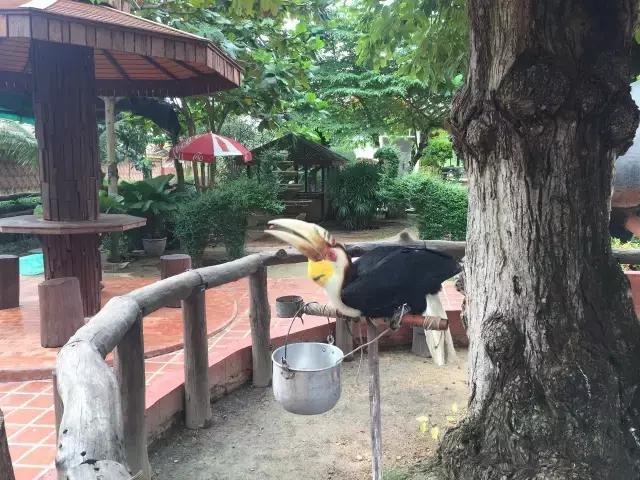 泰国旅游自由行攻略最新,泰国自由行旅游最新攻略