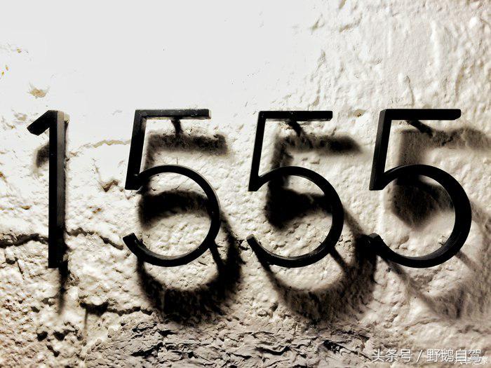 野鹅旅行,野鹅自驾无人区