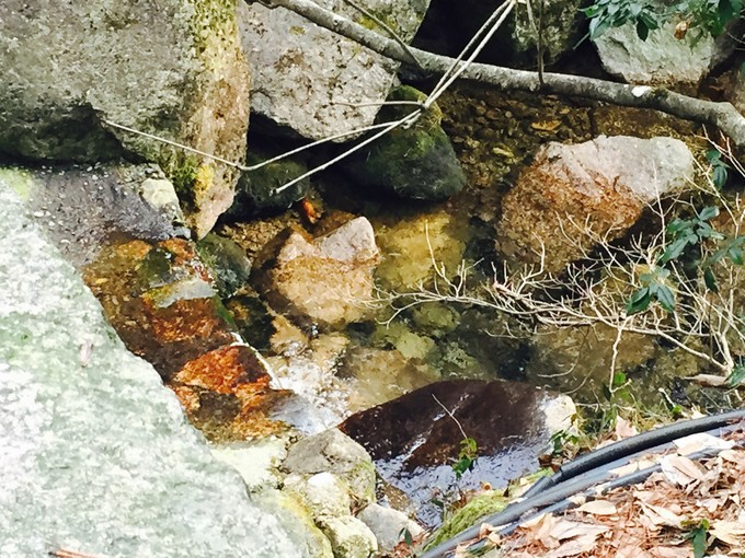 九华山黄山西递宏村纯玩四日游,黄山宏村经典四日游附详细攻略