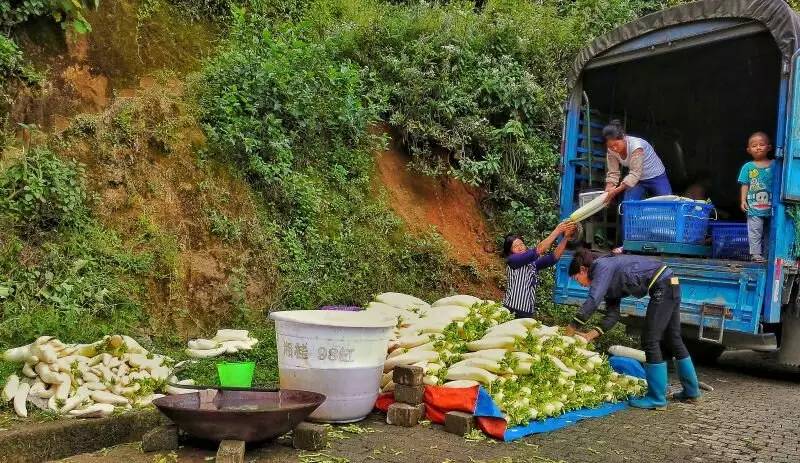 养鸡养羊还养生，德宏的这个地方，去了就不想走了！