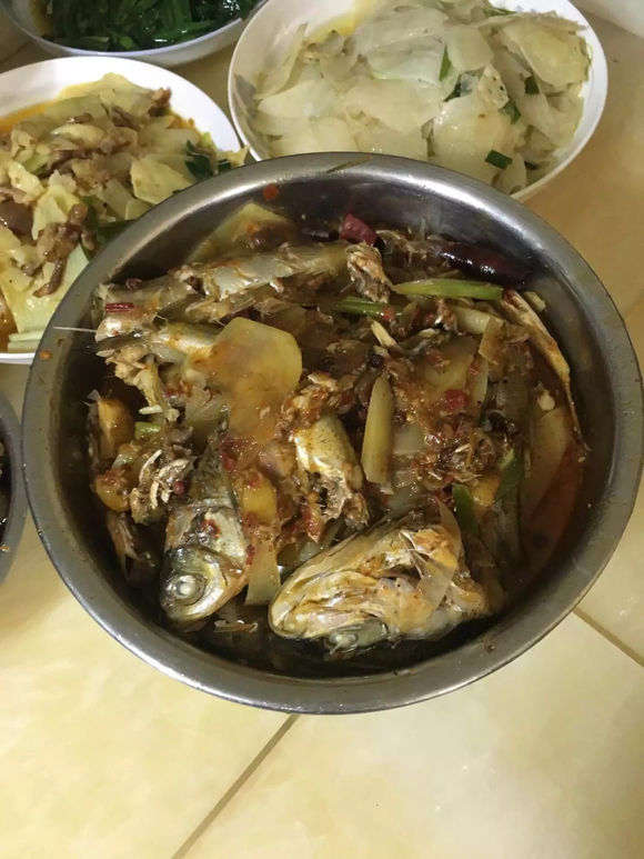 为什么野钓更舒服,为什么野钓要钓底