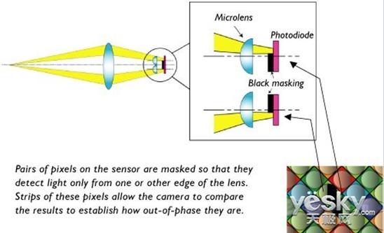佳能(Canon)EOS70D单反机为什么那么牛