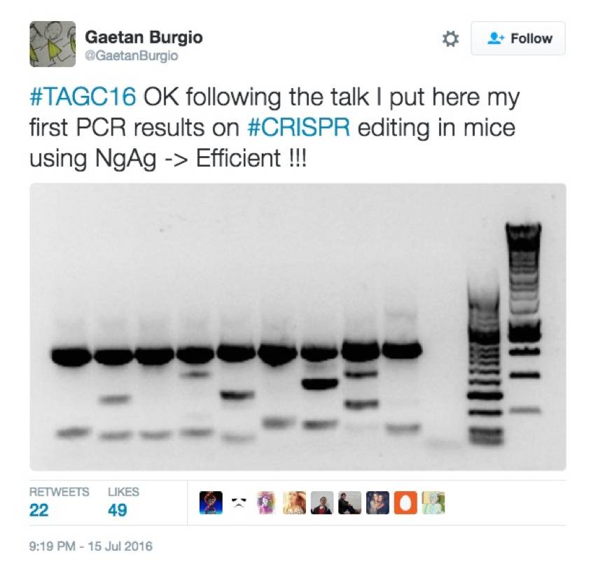 面对质疑的韩春雨,韩春雨专访视频完整版