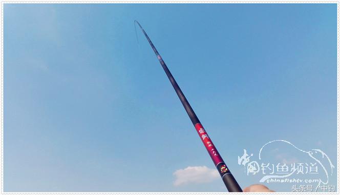 菜地钓鲫鱼绝密技巧,菜地钓白条视频大全