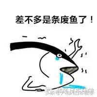 留学生被问到最不能忍受的问题,留学生最讨厌听到的话